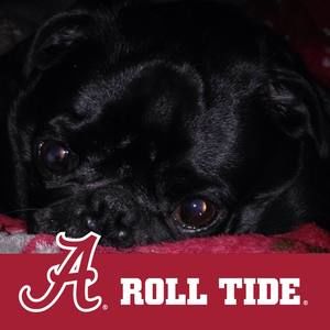 Meet your Posher, Carla